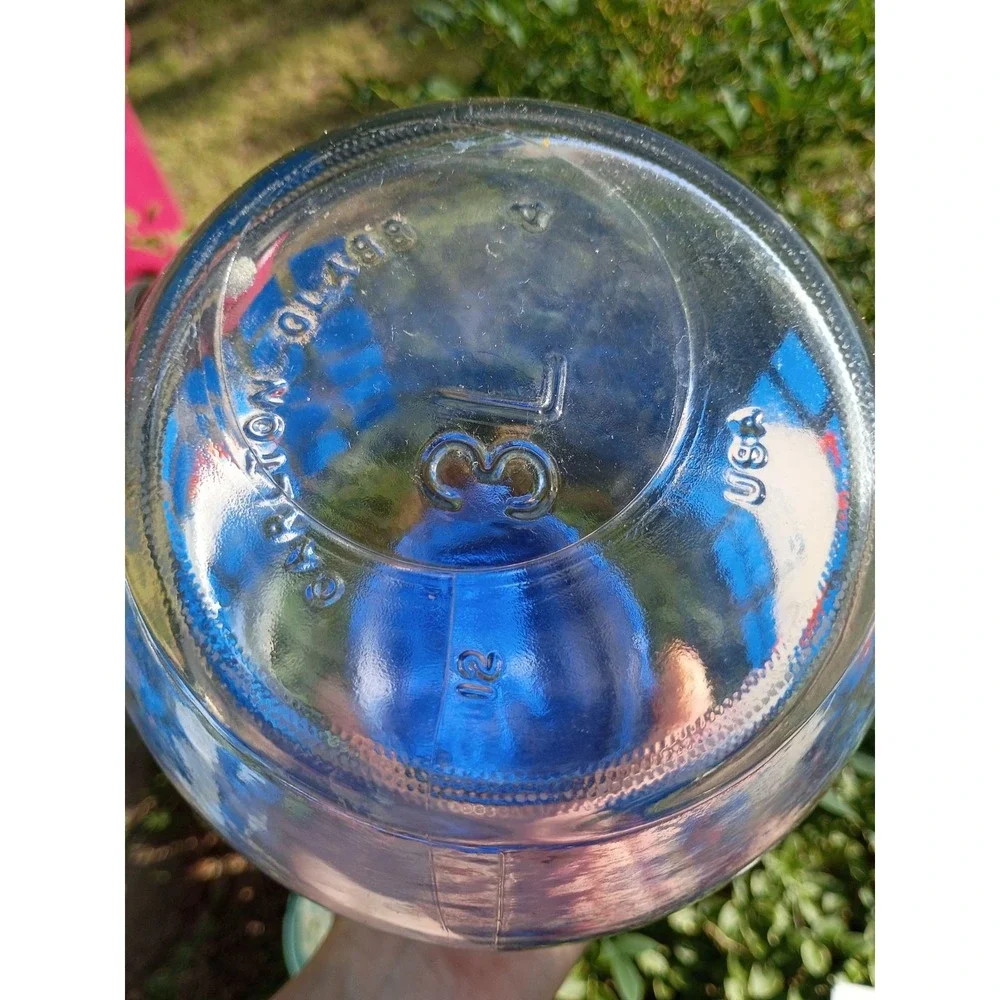 Carlton Glass Canister 3L collector Jar Vintage Geese Goose Duck Blue with Lid